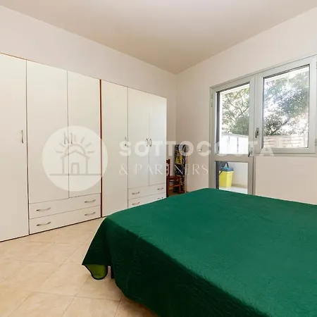 Casa Tulipano - * Roca